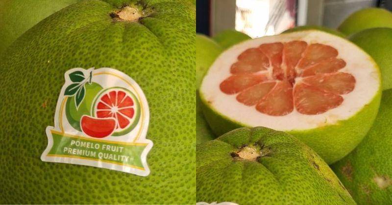 Instagram.com/pomelomadu